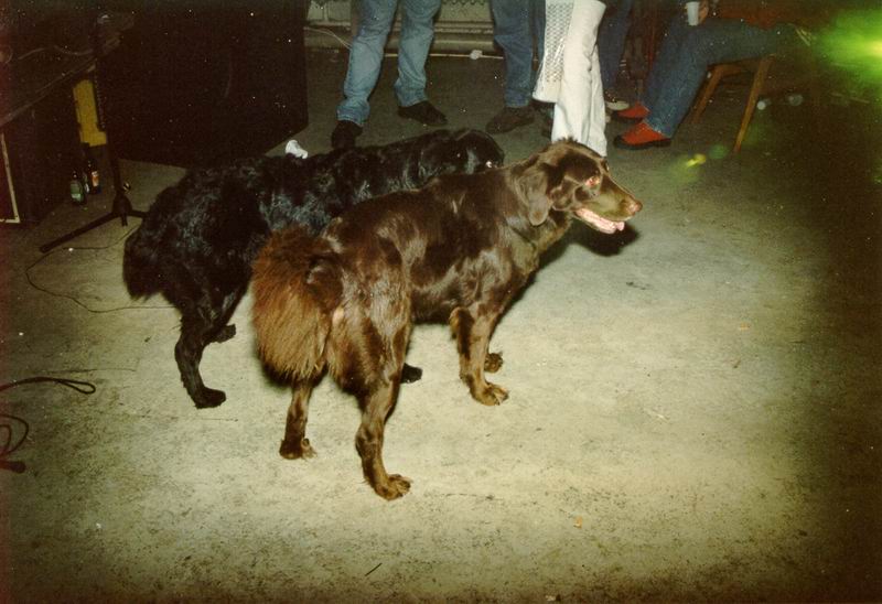 houseparty_09.jpg